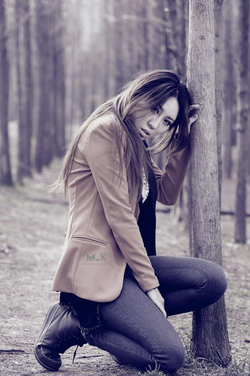 幸福花园樱花版本