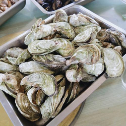 幸福花园完整视频